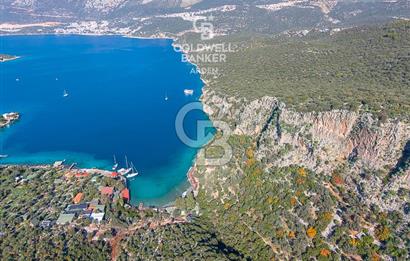 ANTALYA KAŞ LİMANAĞZI NDA CB ARDEN DEN KİRALIK ZEYTİNLİK