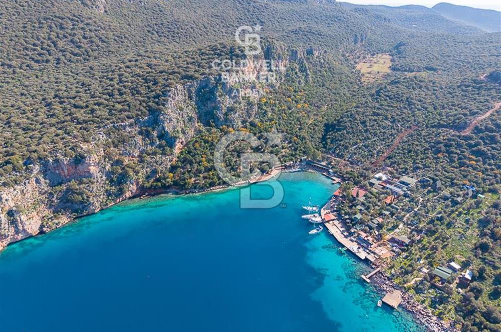 ANTALYA KAŞ LİMANAĞZI NDA CB ARDEN DEN KİRALIK ZEYTİNLİK