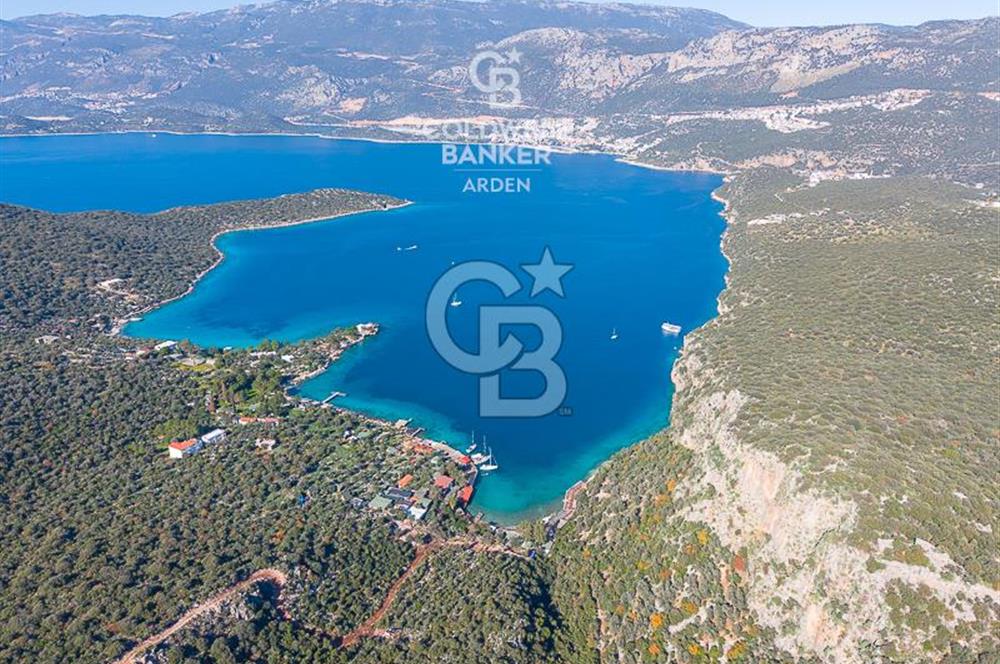 ANTALYA KAŞ LİMANAĞZI NDA CB ARDEN DEN KİRALIK ZEYTİNLİK