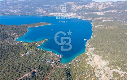 ANTALYA KAŞ LİMANAĞZI NDA CB ARDEN DEN KİRALIK ZEYTİNLİK