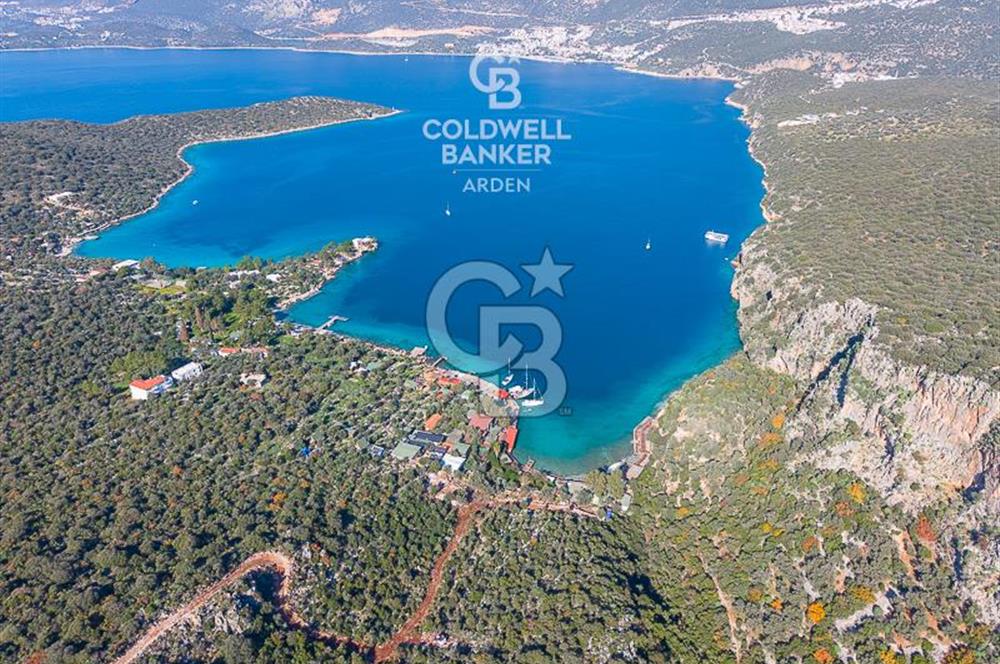 ANTALYA KAŞ LİMANAĞZI NDA CB ARDEN DEN KİRALIK ZEYTİNLİK