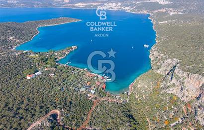 ANTALYA KAŞ LİMANAĞZI NDA CB ARDEN DEN KİRALIK ZEYTİNLİK