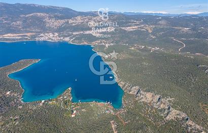 ANTALYA KAŞ LİMANAĞZI NDA CB ARDEN DEN KİRALIK ZEYTİNLİK