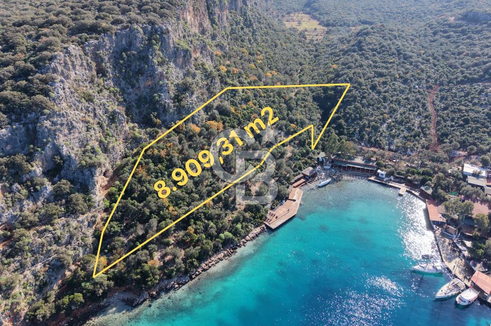 ANTALYA KAŞ LİMANAĞZI NDA CB ARDEN DEN KİRALIK ZEYTİNLİK