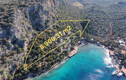 ANTALYA KAŞ LİMANAĞZI NDA CB ARDEN DEN KİRALIK ZEYTİNLİK