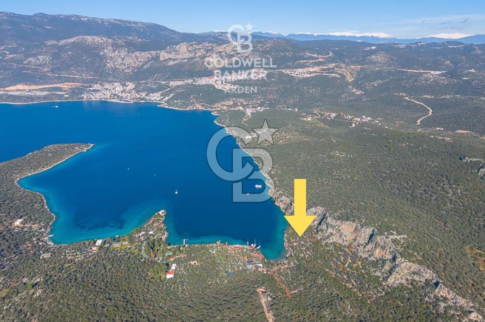 ANTALYA KAŞ LİMANAĞZI NDA CB ARDEN DEN KİRALIK ZEYTİNLİK