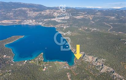 ANTALYA KAŞ LİMANAĞZI NDA CB ARDEN DEN KİRALIK ZEYTİNLİK