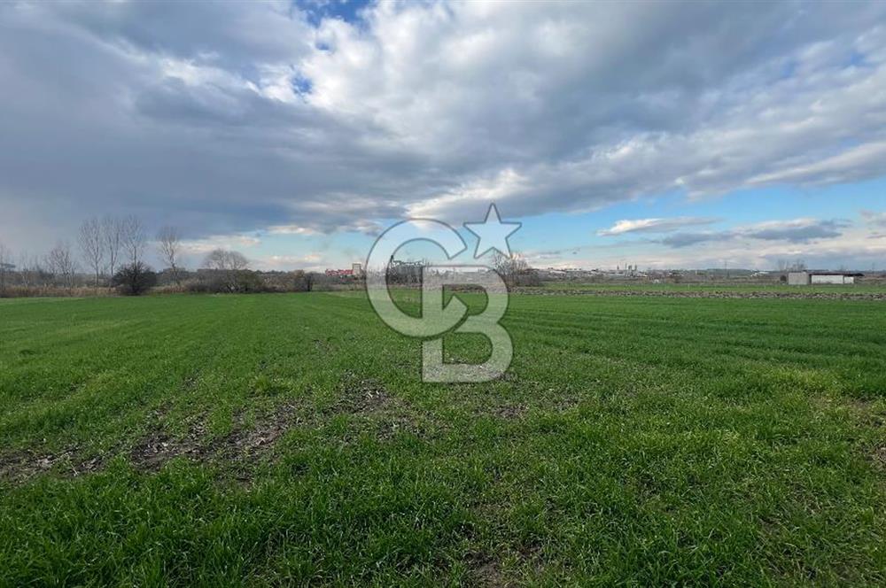 EDİRNE MERKEZ SAZLIDERE SATILIK TARLA