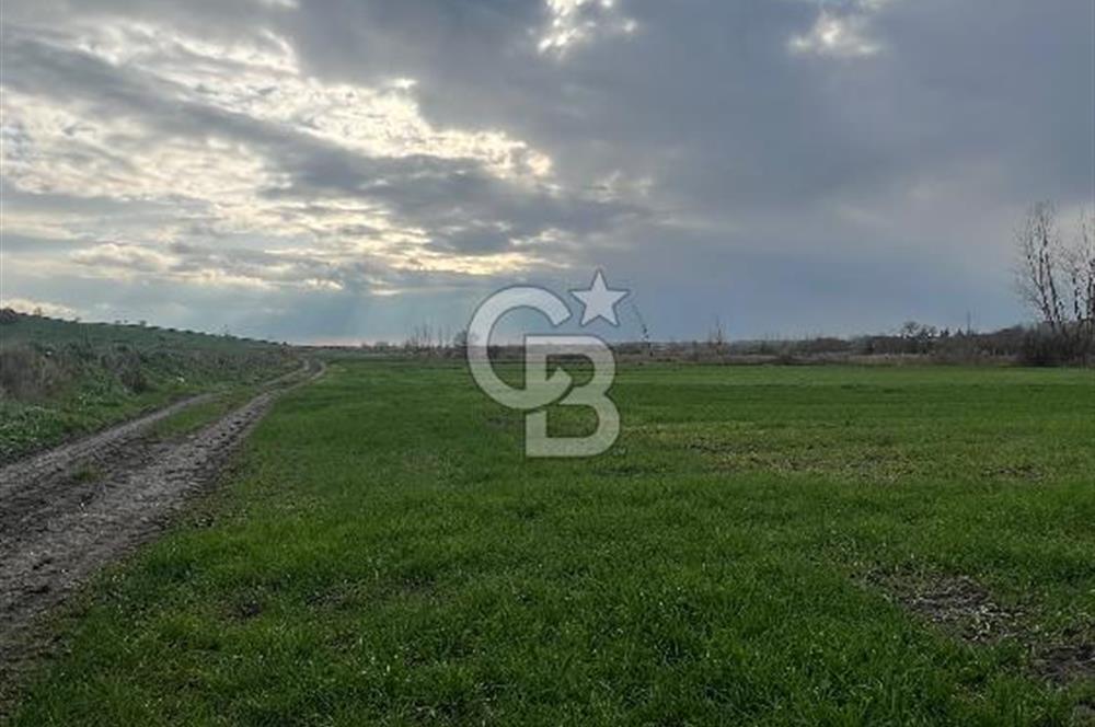 EDİRNE MERKEZ SAZLIDERE SATILIK TARLA