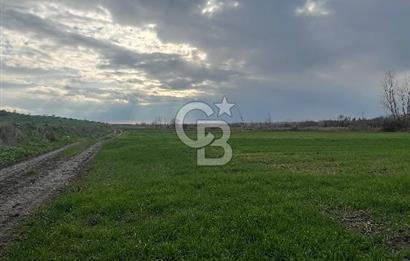 EDİRNE MERKEZ SAZLIDERE SATILIK TARLA