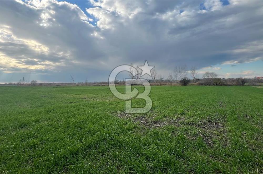 EDİRNE MERKEZ SAZLIDERE SATILIK TARLA