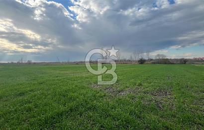 EDİRNE MERKEZ SAZLIDERE SATILIK TARLA