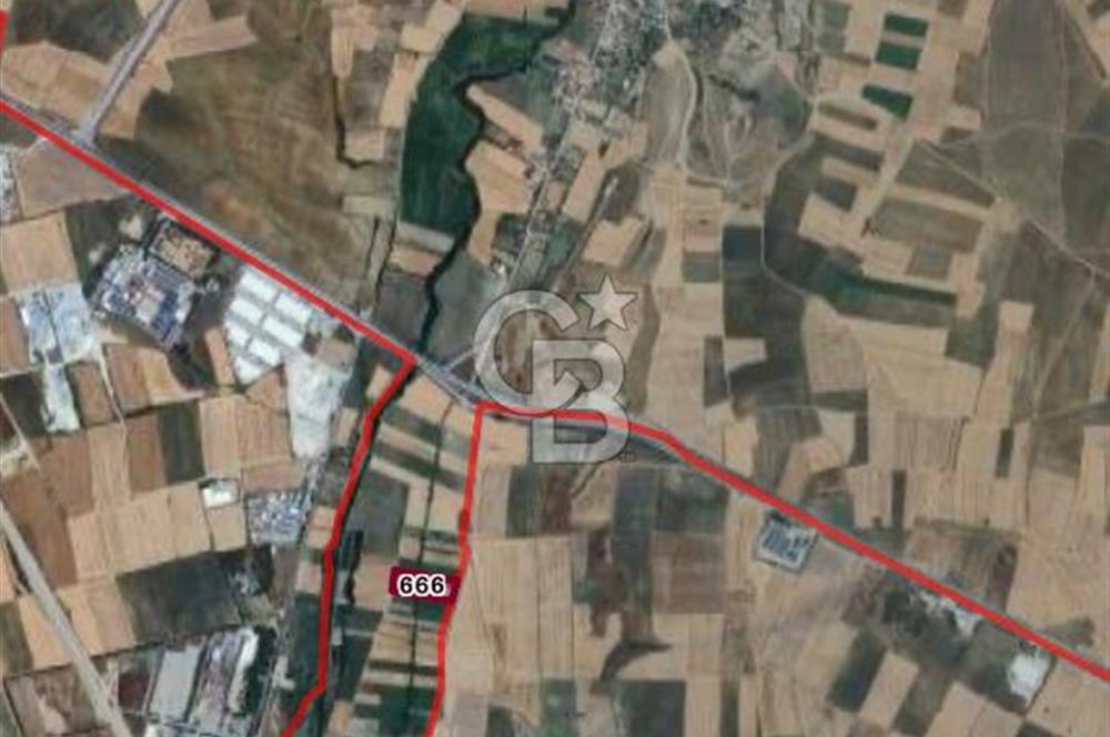 EDİRNE MERKEZ SAZLIDERE SATILIK TARLA