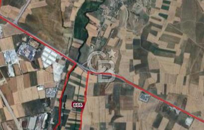 EDİRNE MERKEZ SAZLIDERE SATILIK TARLA