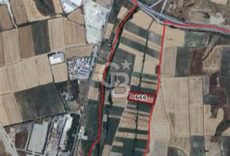 EDİRNE MERKEZ SAZLIDERE SATILIK TARLA - 8 - 336968