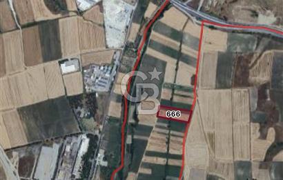 EDİRNE MERKEZ SAZLIDERE SATILIK TARLA