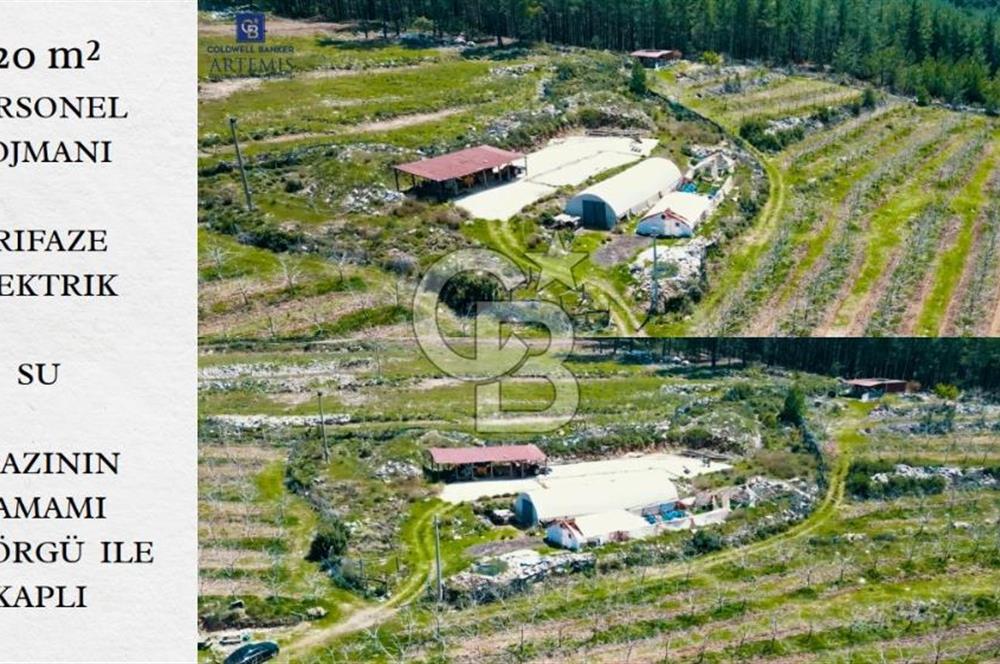 Milas Merkez'e 13 km Bodrum Havalimanı yakını Satılık Cevizlik