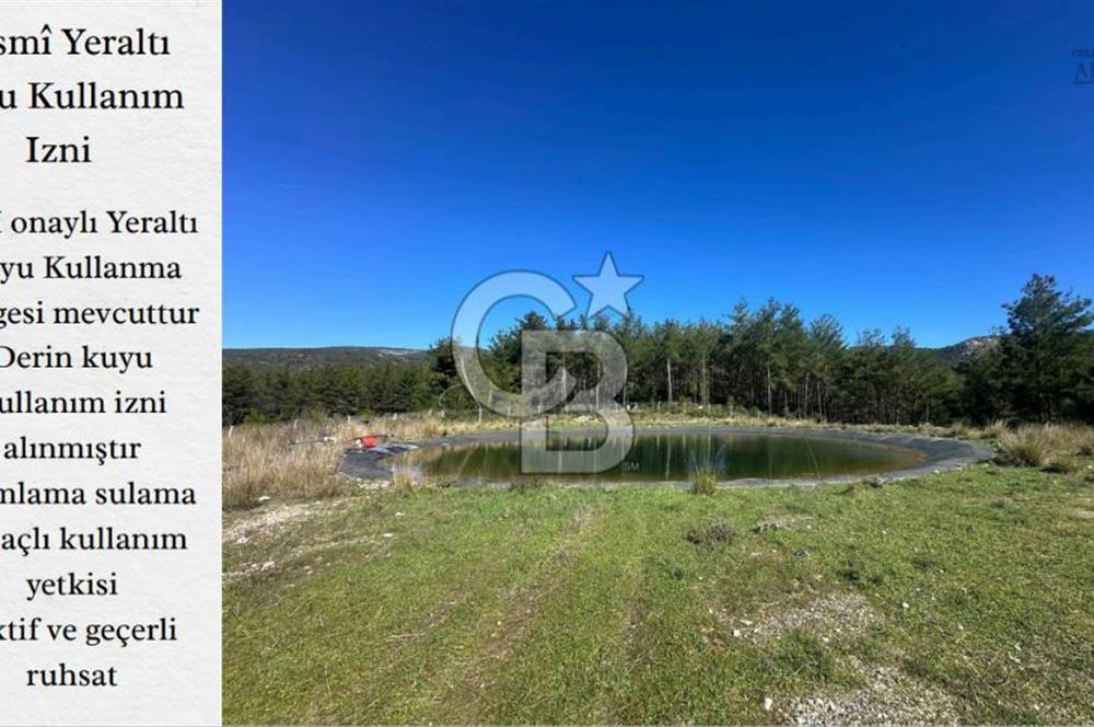 Milas Merkez'e 13 km Bodrum Havalimanı yakını Satılık Cevizlik