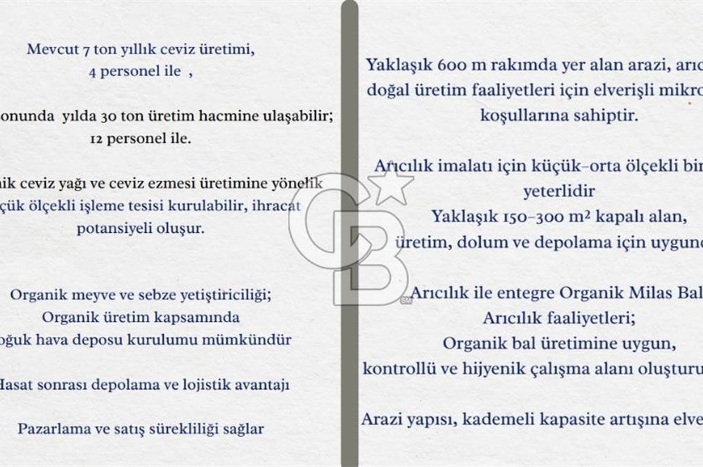 Milas Merkez'e 13 km Bodrum Havalimanı yakını Satılık Cevizlik