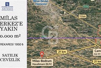 Milas Merkez'e 13 km Bodrum Havalimanı yakını Satılık Cevizlik - 3 - 336940