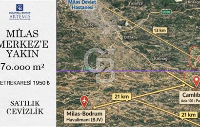 Milas Merkez'e 13 km Bodrum Havalimanı yakını Satılık Cevizlik