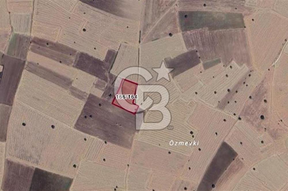 UŞAK SİVASLI KÖKEZ KÖYÜNDE 9.643 M2 SATILIK TARLA CB PH