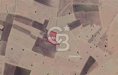 UŞAK SİVASLI KÖKEZ KÖYÜNDE 9.643 M2 SATILIK TARLA CB PH