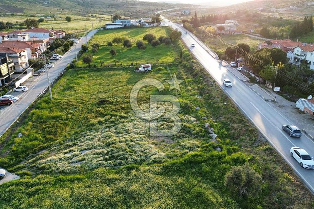 Foça Yenibağarası Anayol Üzeri Kiralık Tarla