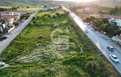 Foça Yenibağarası Anayol Üzeri Kiralık Tarla