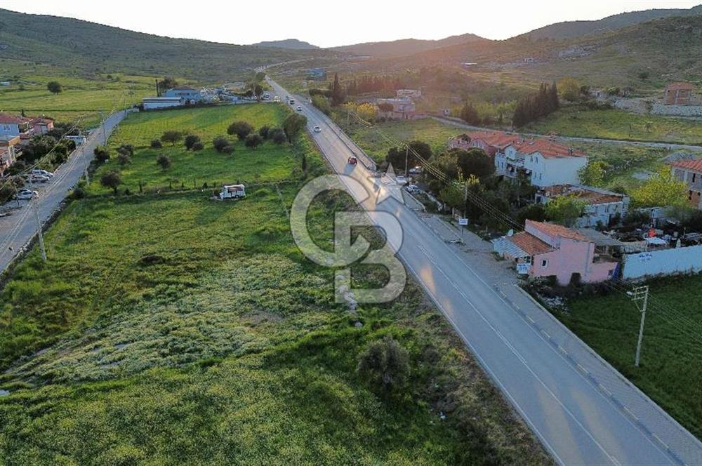 Foça Yenibağarası Anayol Üzeri Kiralık Tarla
