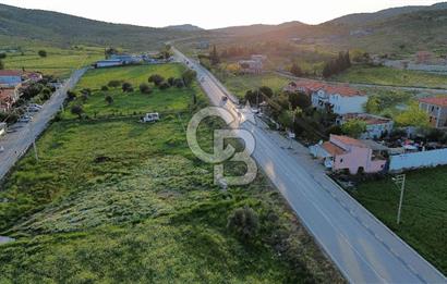 Foça Yenibağarası Anayol Üzeri Kiralık Tarla