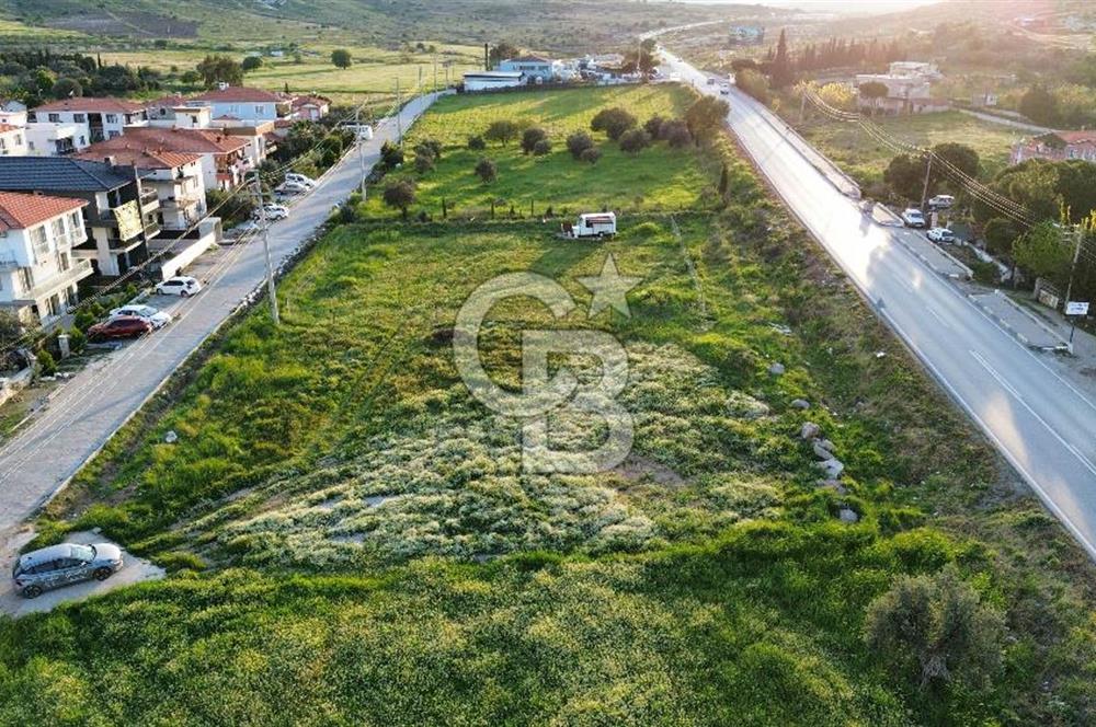 Foça Yenibağarası Anayol Üzeri Kiralık Tarla