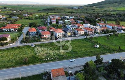 Foça Yenibağarası Anayol Üzeri Kiralık Tarla