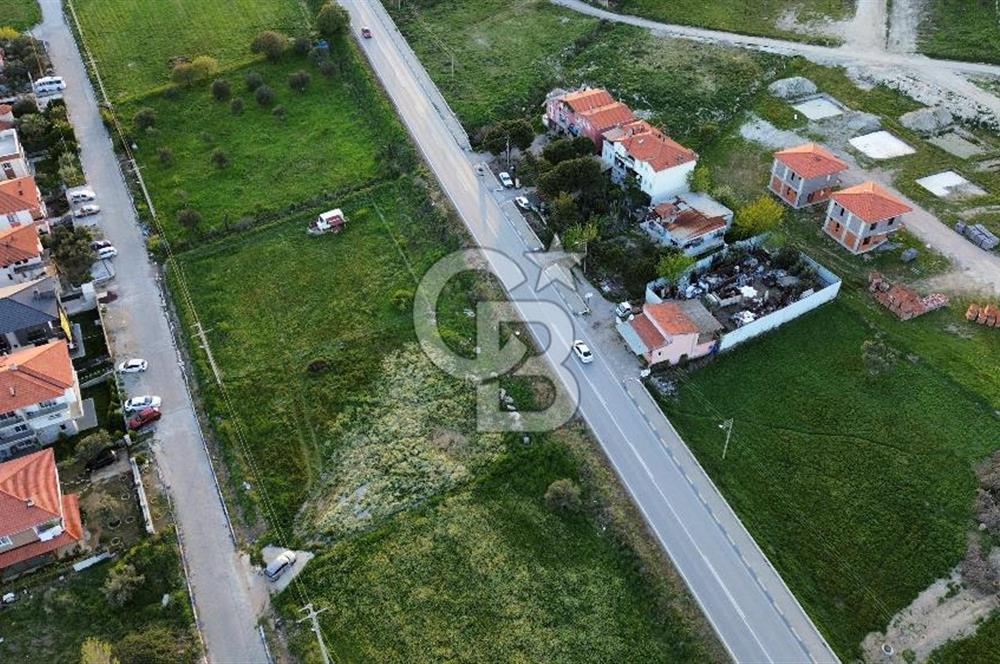 Foça Yenibağarası Anayol Üzeri Kiralık Tarla