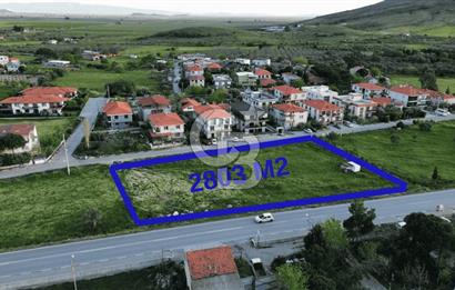 Foça Yenibağarası Anayol Üzeri Kiralık Tarla