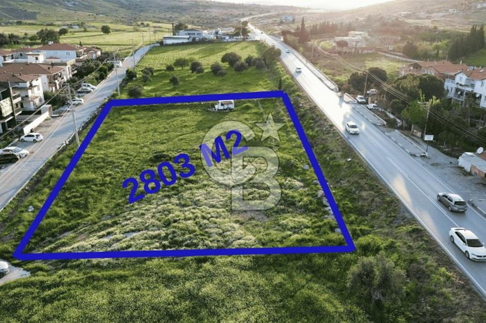 Foça Yenibağarası Anayol Üzeri Kiralık Tarla