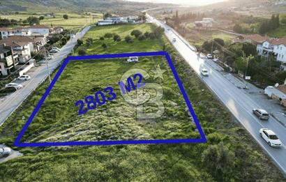 Foça Yenibağarası Anayol Üzeri Kiralık Tarla