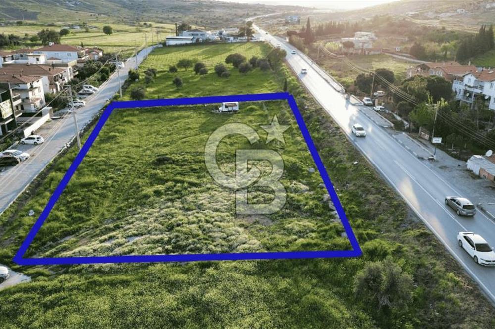Foça Yenibağarası Anayol Üzeri Kiralık Tarla