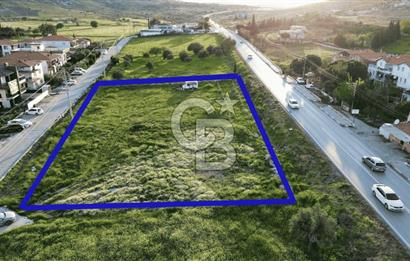 Foça Yenibağarası Anayol Üzeri Kiralık Tarla