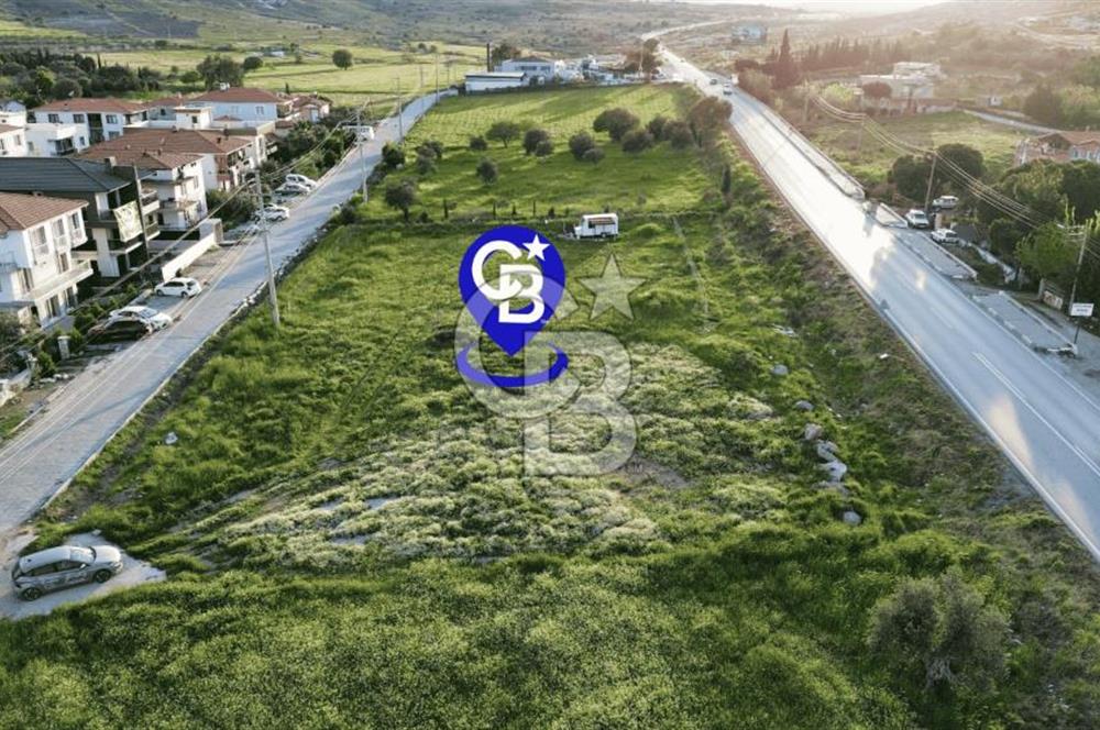 Foça Yenibağarası Anayol Üzeri Kiralık Tarla