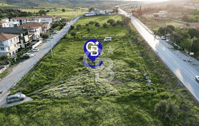 Foça Yenibağarası Anayol Üzeri Kiralık Tarla