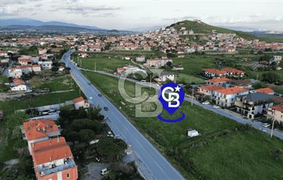 Foça Yenibağarası Anayol Üzeri Kiralık Tarla