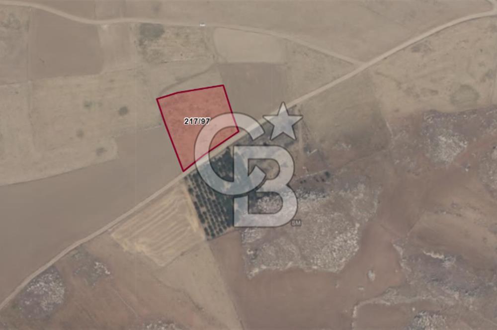 KORKUTELİ KÜÇÜKKÖY YAYLASINDA YOLU OLAN 3379 M2 TARLA