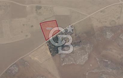 KORKUTELİ KÜÇÜKKÖY YAYLASINDA YOLU OLAN 3379 M2 TARLA