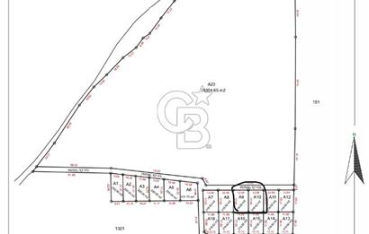 Foça Ilıpınar'da Sizinde Zeytin Ağaçlı Bir Bahçeniz Olsun