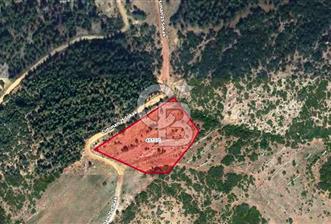 HATAY İSKENDERUN CIRTIMAN'DA FIRSAT PARSEL - 7 - 336984