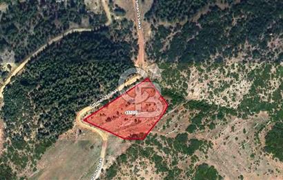 HATAY İSKENDERUN CIRTIMAN'DA FIRSAT PARSEL