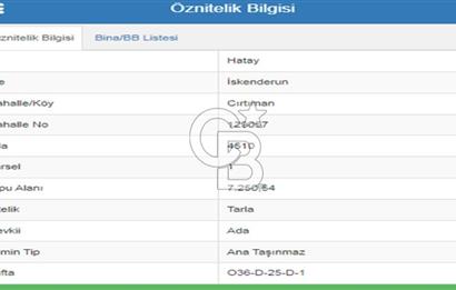 HATAY İSKENDERUN CIRTIMAN'DA FIRSAT PARSEL