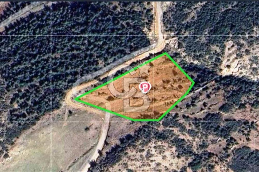 HATAY İSKENDERUN CIRTIMAN'DA FIRSAT PARSEL