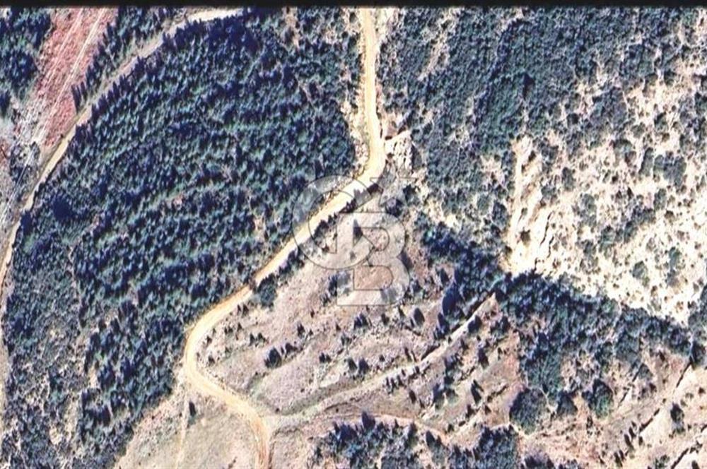 HATAY İSKENDERUN CIRTIMAN'DA FIRSAT PARSEL